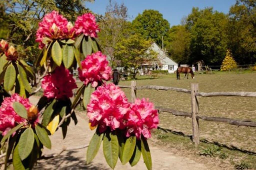 The Cottage Cross in Hand Екстер'єр фото